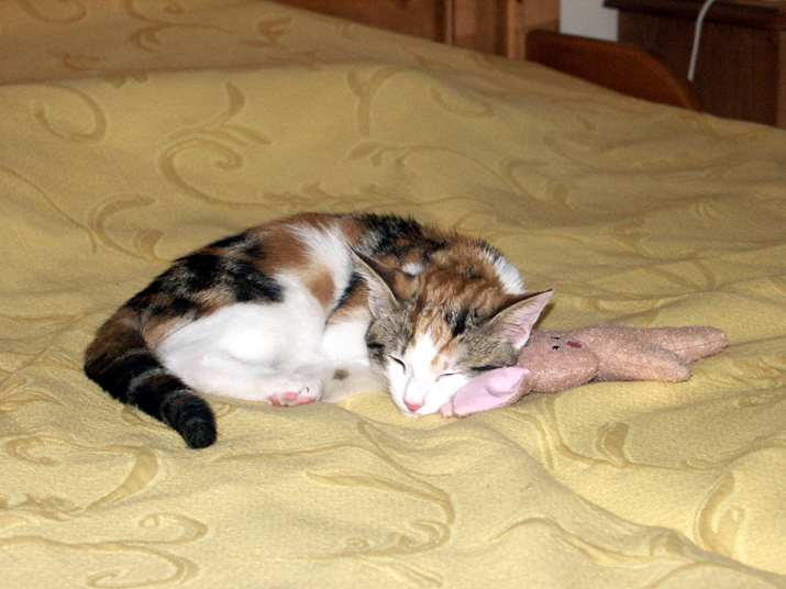 2004-08 120.JPG - DCF 1.0